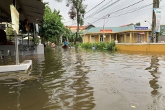 010_Lulut_DocSo_10102020