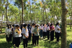 042_OnGoi_DiVieng_2022