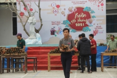074_Tet_DocSo_2020