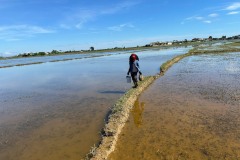 002_Viengtham_Lulut_17062025